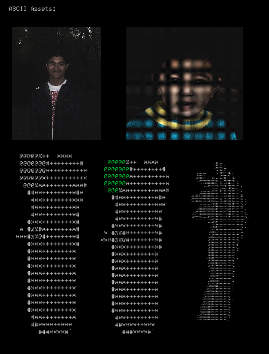 ASCII Assets
